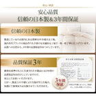 羽毛布団 10点セット 日本製 ウクライナ産ロイヤルゴールドラベル ベッドタイプ グースダウン93% クイーン