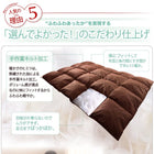 羽根布団8点セット ベッドタイプ&和タイプ シングル8点セット 3年保証 新20色