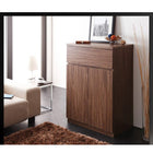 キャビネット 2点セット(キャビネット×2) シンプルモダンリビングシリーズ