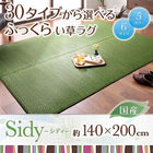 い草ラグ 140 × 200 30タイプから選べる国産ふっくら