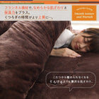 こたつ 掛け敷布団 2点セット 4尺 長方形 80×120 天板対応 防ダニ フランネル