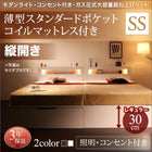 ガス圧式跳ね上げベッド 薄型スタンダードポケットコイル 縦開き セミシングル 深さレギュラー