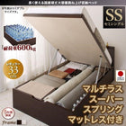 ベッド フランスベッド マルチラススーパースプリングマットレス付き 縦開き ガス式跳ね上げ セミシングル 深さレギュラー お客様組立