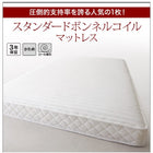 ローベッド 棚 コンセント スタンダードポケットコイル シングル