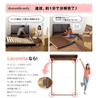 収納ベッド 国産ボンネルコイル セミダブル