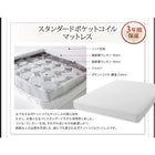 収納ベッド 棚・4口コンセント スタンダードボンネルコイル ダブル