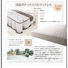 収納ベッド 棚・4口コンセント スタンダードボンネルコイル ダブル