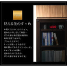 キャビネット 幅45 ガラス扉 ハイタイプテレビボードシリーズ グラスライン