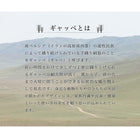 ラグ ギャッベ 130×190 高級50万ノット トルコ製 ウィルトン織