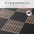 ラグ 江戸間 4.5畳 261×261 い草風 ラグ 洗える モダンデザイン