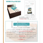 収納ベッド 国産 薄型スタンダードボンネルコイル セミダブル