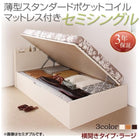 ベッド 跳ね上げ セミシングル 収納 薄型スタンダードポケットコイル 横開き 深さラージ お客様組立