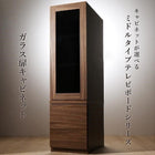 テレビボード キャビネット 単品ガラス扉 ミドルタイプ