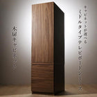 テレビボード キャビネット 単品 木扉 ミドルタイプ