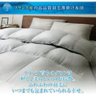 羽毛薄掛布団 単品 セミダブル エクセルゴールドラベル フランス産ダウン90%