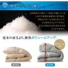 羽毛薄掛布団 単品 セミダブル エクセルゴールドラベル フランス産ダウン90%