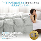 羽毛薄掛布団 単品 セミダブル エクセルゴールドラベル フランス産ダウン90%