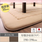 こたつ 布団 こたつ敷きふとん単品 190×190