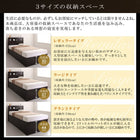 ガス式 ベッド 収納 跳ね上げ クイーン SS×2 薄型スタンダードボンネルコイル 縦開き 深さラージ お客様組立