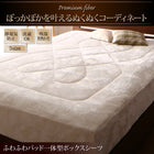 ボックスシーツ パッド一体型単品 吸湿発熱わた入り クイーン 北欧モダンスタイル