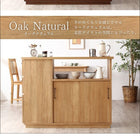 キッチンカウンター 日本製 完成品 両面収納 間仕切り