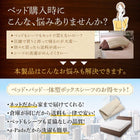 シングルベッド フランスベッドマルチラススーパースプリング 収納ベッド