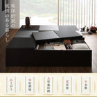 美草畳リビングステージ 畳ボックス収納 120×60cm ロータイプ 国産