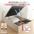 ベッド セミダブル すのこ ベッド 跳ね上げ スタンダードボンネルコイル 深さラージ お客様組立