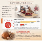 こたつ 布団 掛布団&敷布団 2点セット 掛布団+ラグ 5尺長方形 90×150 天板対応