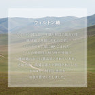 ラグ 80×140cm トルコ製 ウィルトン織