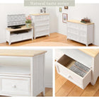 TV台 アンティークホワイト 74×34×40cm ホワイト