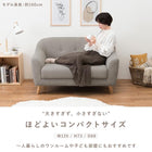 ソファ(エメル) 2P グレー