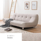 ソファ(ライノス 2.5) 2.5P ブラウン 組立設置付