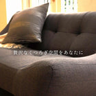 ソファ(ライノス 2.5) 2.5P ブラウン 組立設置付