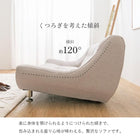 ソファ(ライノス 2.5) 2.5P ブラウン 組立設置付