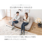 ソファ(ライノス 2.5) 2.5P ブラウン 組立設置付