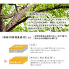 ダイニング4点セット ワイド ベンチ 140×80×76cm テーブル/ダークブラウン