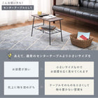 ラック 50×24×35cm ブラック