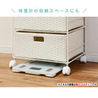 ランドリー 通常タイプ 50.5×30.5×85cm ダークブラウン