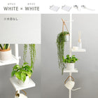 突っ張り棒&パーツ_5点セット 角型タイプ 43×43×187cm ブラウン/ブラック