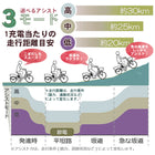 三輪車 大人用 電動アシスト三輪自転車 BEPN18 イーパートン ロータイプ