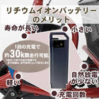 三輪車 大人用 電動アシスト三輪自転車 BEPN18 イーパートン ロータイプ