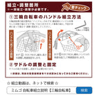 三輪車 大人用 イーパートン 電動アシスト三輪自転車 BEPN20SB