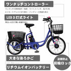 三輪車 大人用 イーパートン 電動アシスト三輪自転車 BEPN20SB