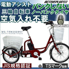 3輪自転車 電動アシスト 三輪自転車 カバー付き ノーパンク パンクしない 防災