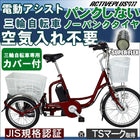 3輪自転車 電動アシスト 三輪自転車 カバー付き ノーパンク パンクしない 防災
