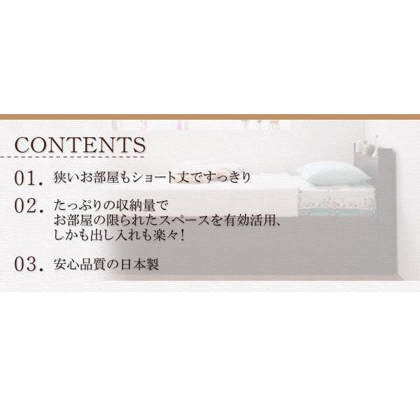 収納ベッド 跳ね上げ 組立設置付 薄型スタンダードボンネルコイル 横開き ヘッドレス シングル ショート丈 深さラージ