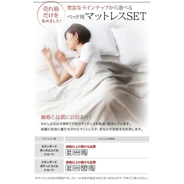 収納ベッド シングル 棚 コンセント付きショート丈 ベッドフレームのみ ショート丈