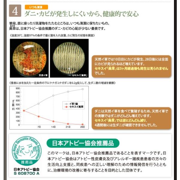 ベッド 跳ね上げ シングル 畳 美草・日本製 深さグランド 組立設置付