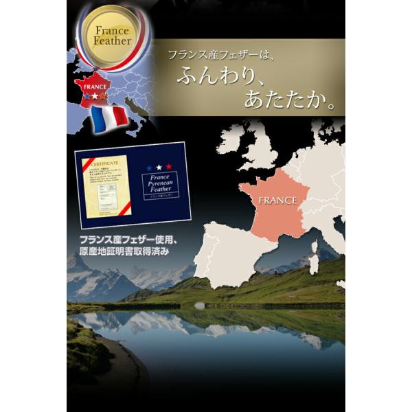 フランス産フェザー羽根掛布団 掛布団 クイーン